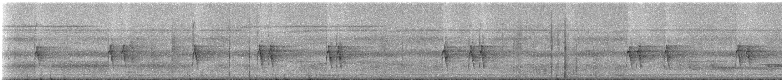 Band-tailed Antbird - ML331610