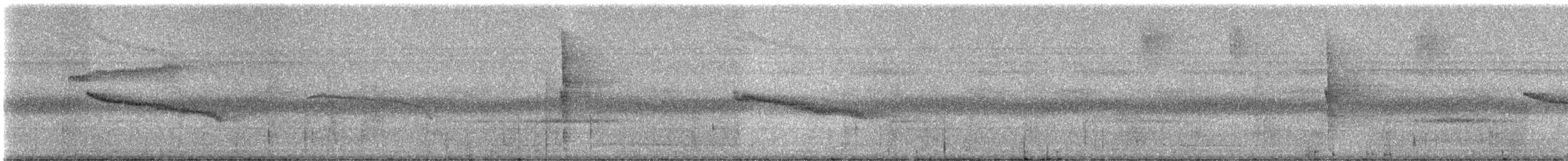 Spot-winged Antshrike - ML331612