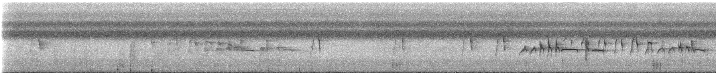 Southern Beardless-Tyrannulet - ML331613