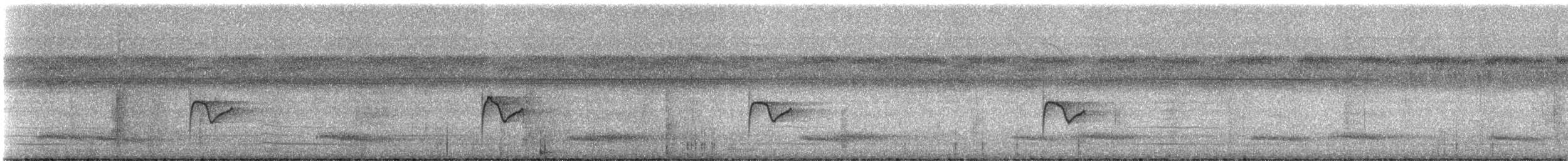 White-throated Jacamar - ML331614