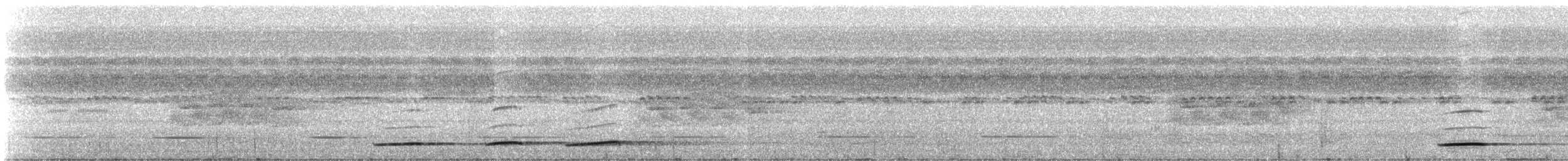 Undulated Tinamou - ML331616