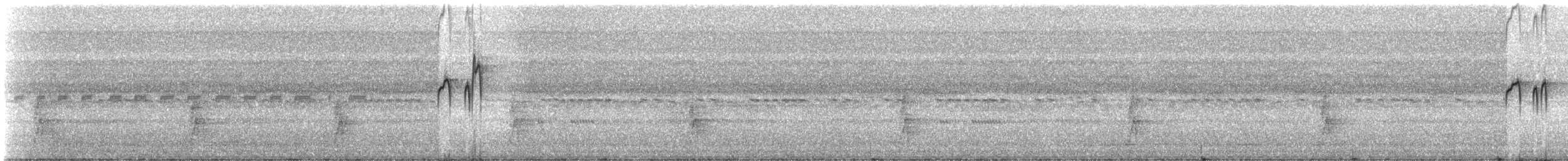 Tropical Kingbird - ML331617