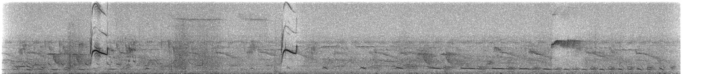 Drab Water Tyrant - ML331618