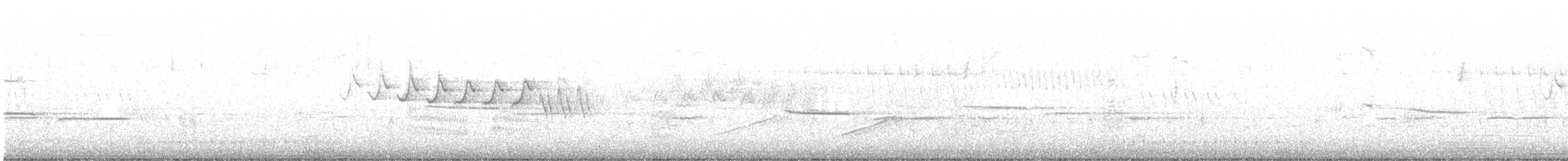 Yellow-rumped Warbler (Myrtle) - ML331618161