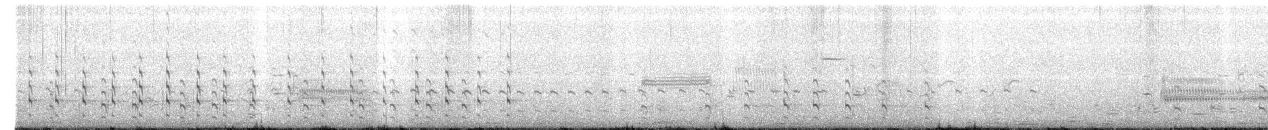 Willet (Eastern) - ML331624741