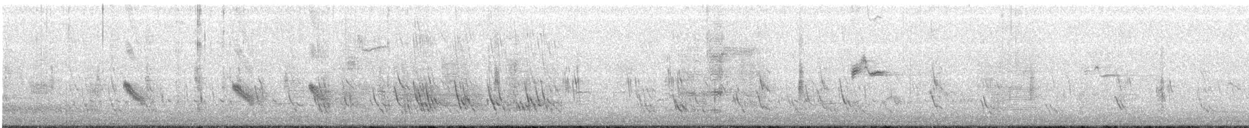 Purple Martin - ML331649291