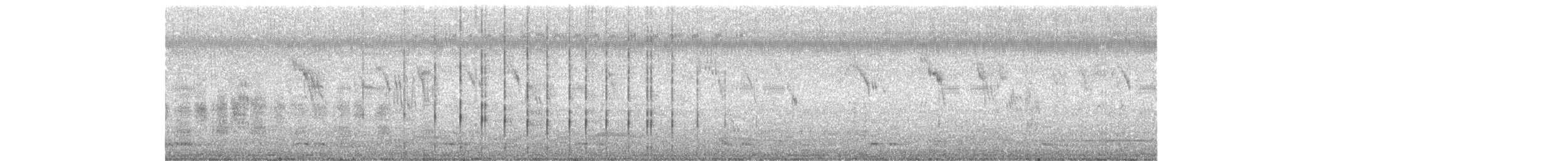 Cigüeña Lanuda Asiática - ML331652821