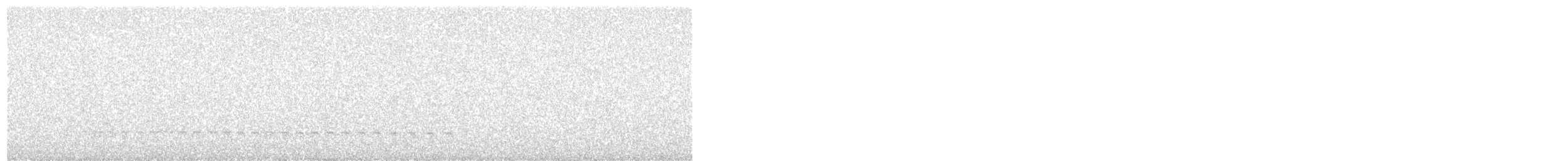 Little Grebe - ML331663771