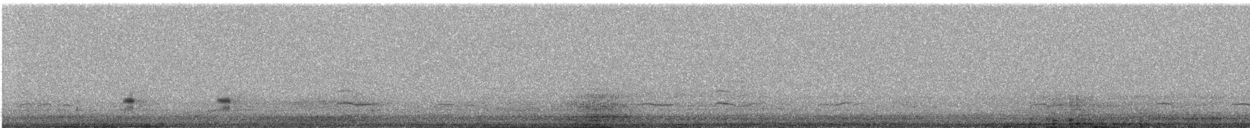 Gadwall - ML331668461