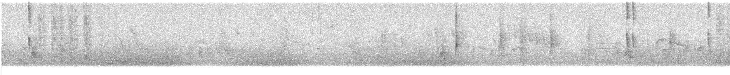 Цинантус синьогорлий - ML331671471