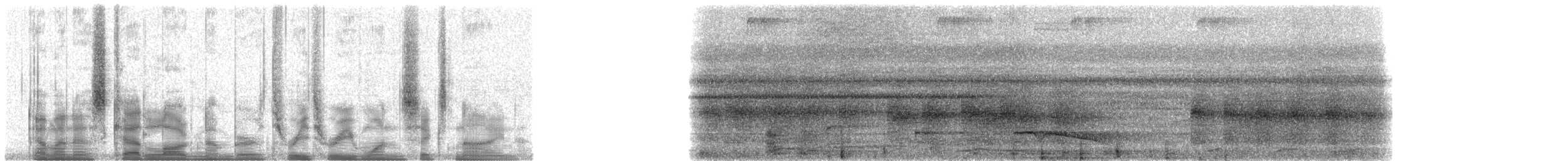 Temmincknachtschwalbe - ML33169