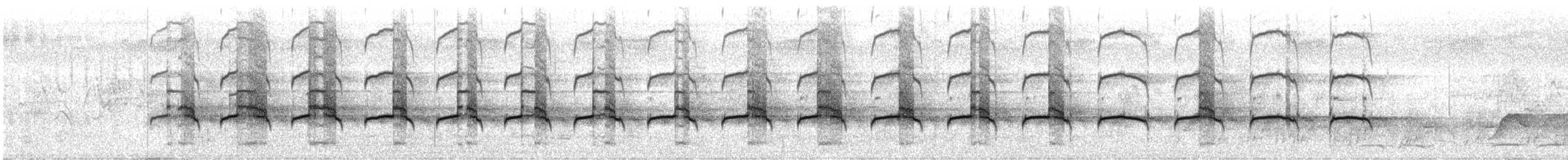 Kammblatthühnchen - ML33171581