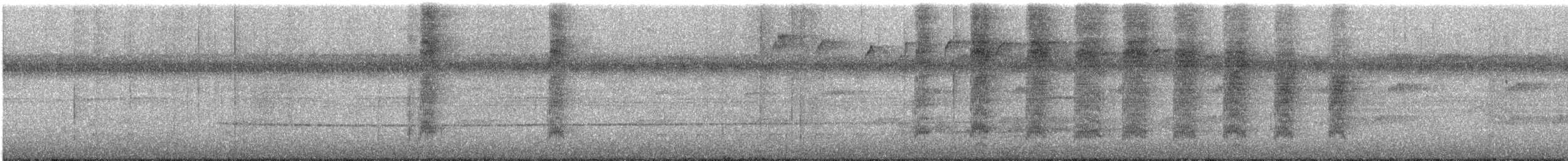 Schwarzschnabel-Pipratyrann - ML331775