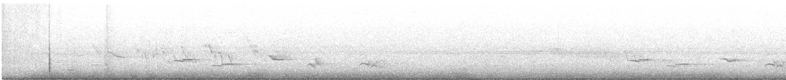 Merle d'Amérique - ML331898041