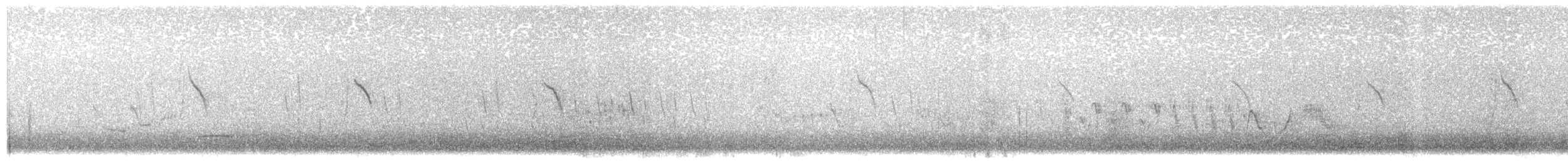 Western Yellow Wagtail - ML331956311
