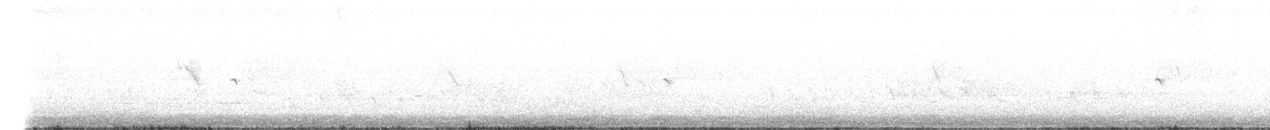 Sperlingsvogel, unbestimmt - ML331974371