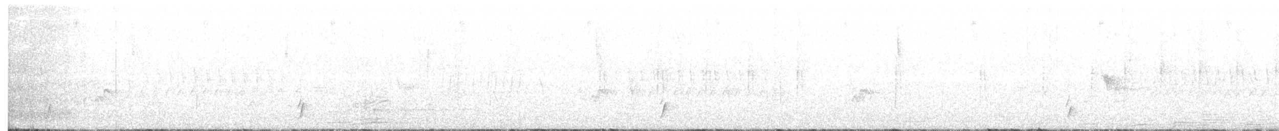 Дрізд-короткодзьоб Cвенсона - ML332002001
