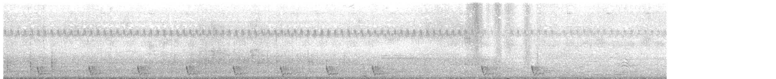 Large-tailed Nightjar - ML332006511