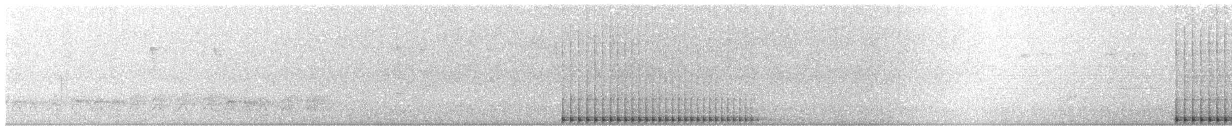 Linienspecht [lineatus-Gruppe] - ML332008021