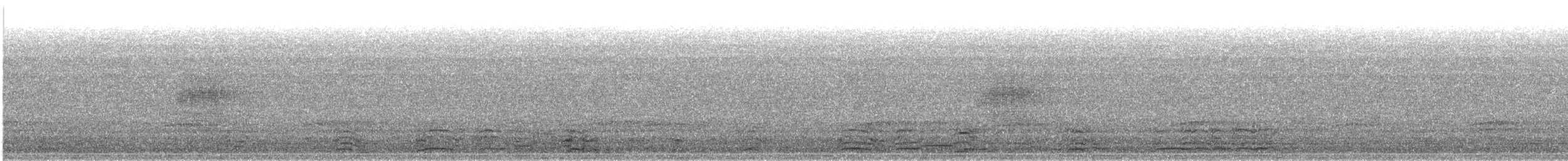 Long-tailed Duck - ML332012201