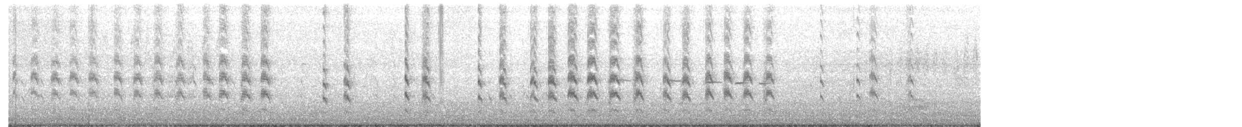 שחפית שחורת-אוזן - ML332013761