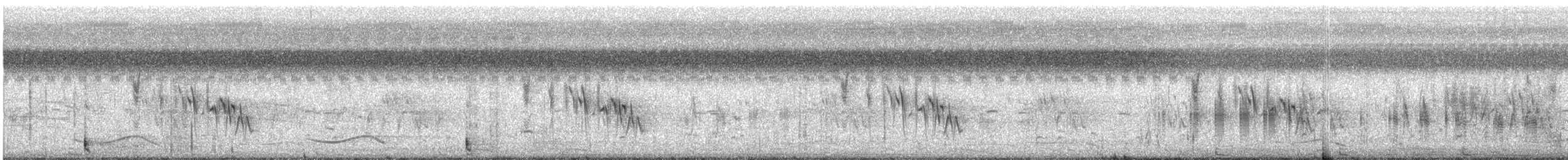アオハウチワドリ（flaviventris グループ） - ML332023841