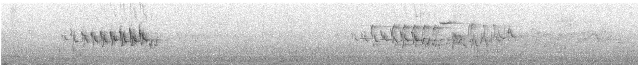 キヅタアメリカムシクイ（coronata） - ML332028531