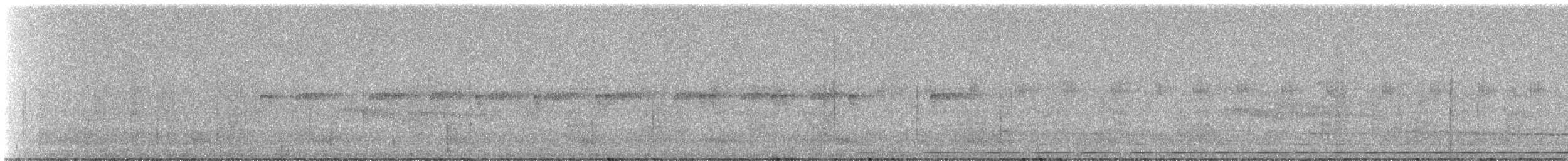 Striated Antthrush - ML332120