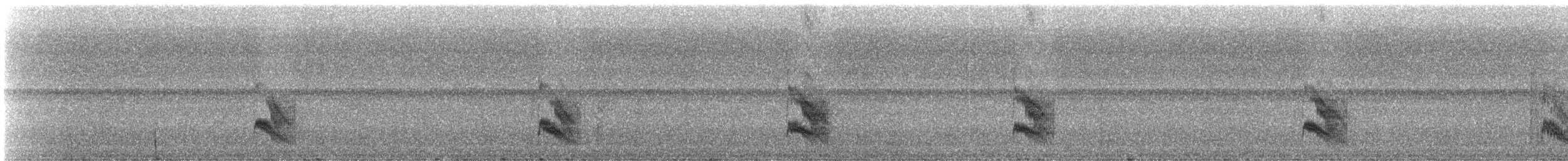 Black-faced Antbird - ML332122