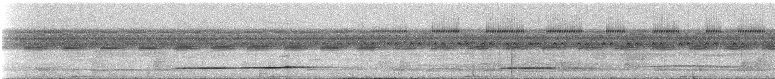 Cinereous Tinamou - ML332124