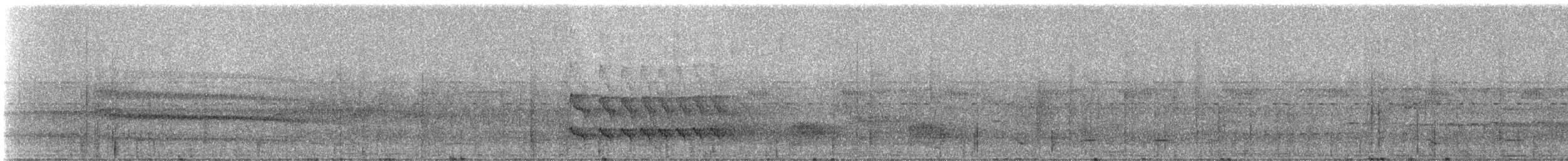 Johannes's Tody-Tyrant - ML332126