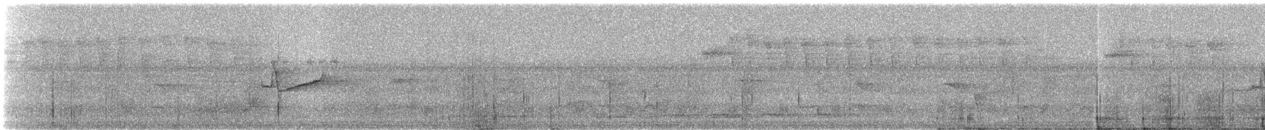 Forest Elaenia - ML332129