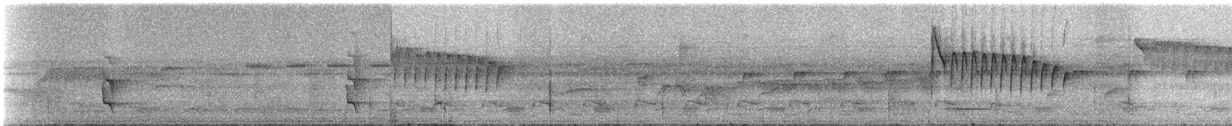 Ornate Stipplethroat - ML332130