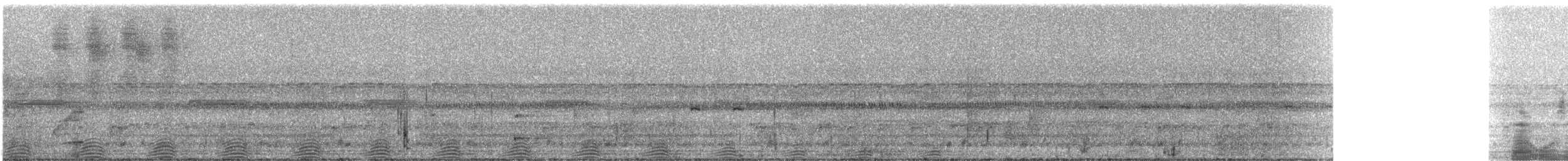 Rufescent Tiger-Heron - ML332131