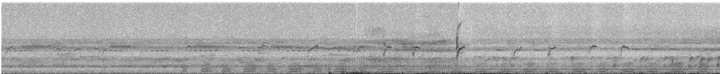 White-winged Swallow - ML332133