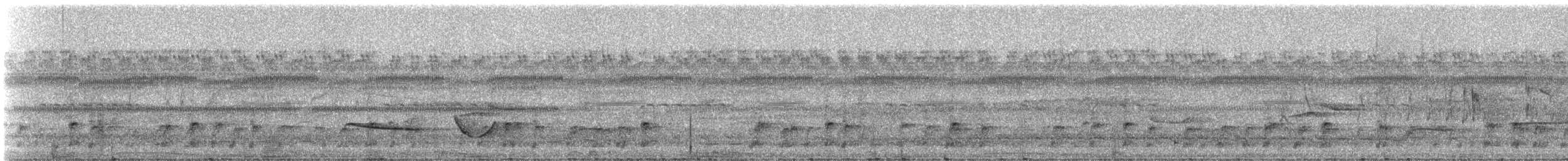 Varzea Schiffornis - ML332134