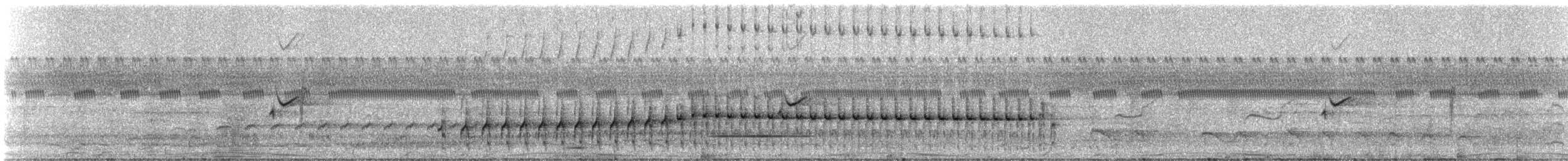 Point-tailed Palmcreeper - ML332135