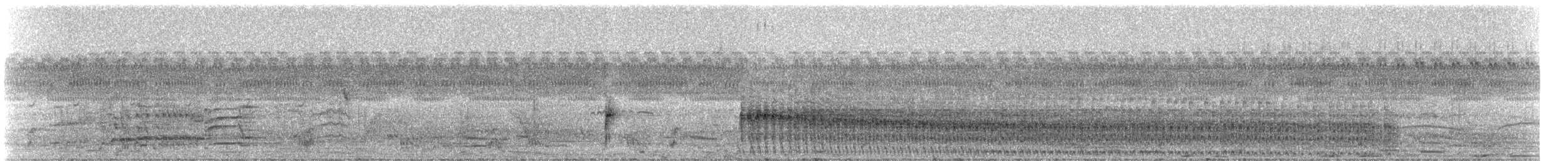 Rufous-sided Crake - ML332136