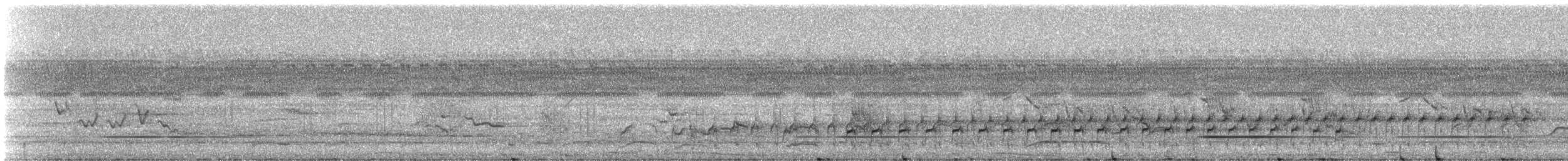 Point-tailed Palmcreeper - ML332138