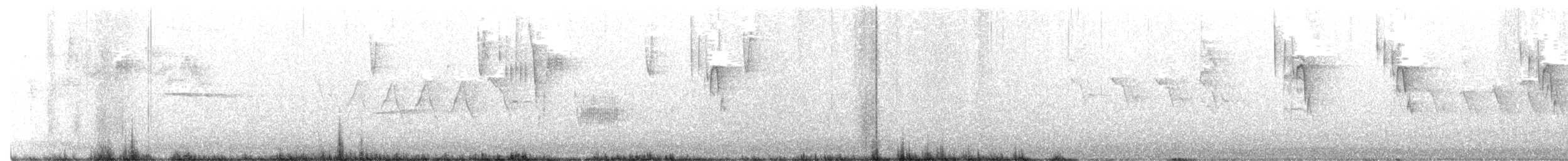 Бор шувууны багын тодорхойгүй зүйл - ML332216981