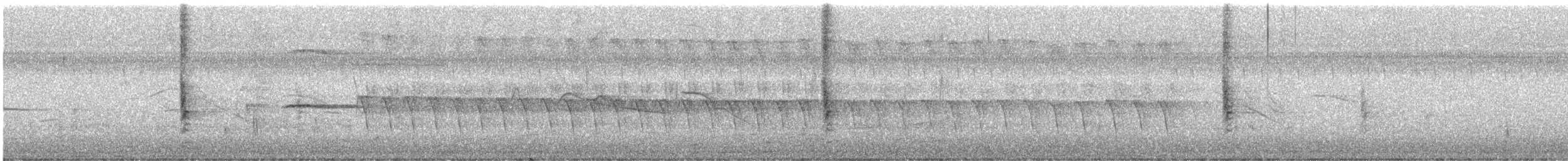 rødvingetrupial (phoeniceus gr.) - ML332232211