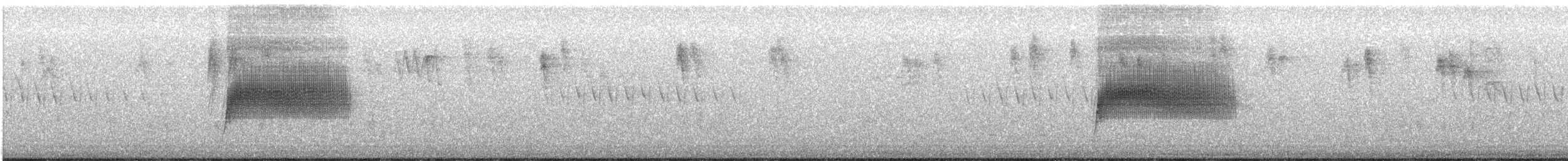 Spotted Towhee (oregonus Group) - ML332264551