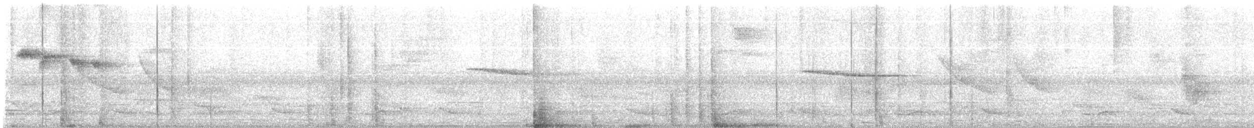 Шпалюшок амазонійський (підвид luscinia) - ML332361681