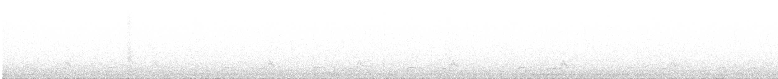 Eastern Whip-poor-will - ML332365041