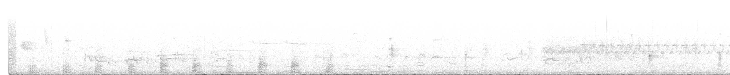 環頸潛鴨 - ML332408431