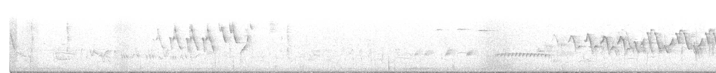 Бор шувууны багын тодорхойгүй зүйл - ML332610581