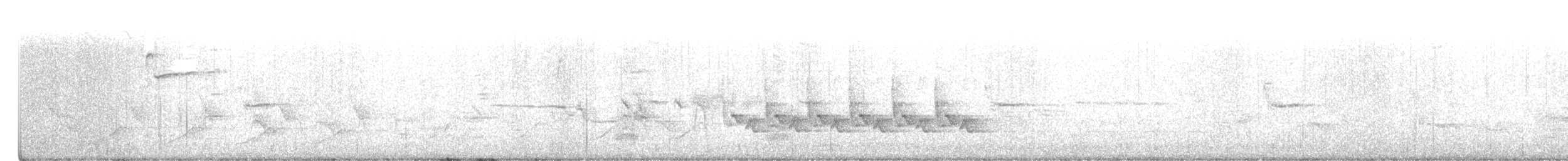 Гракл пурпуровошиїй - ML332616661