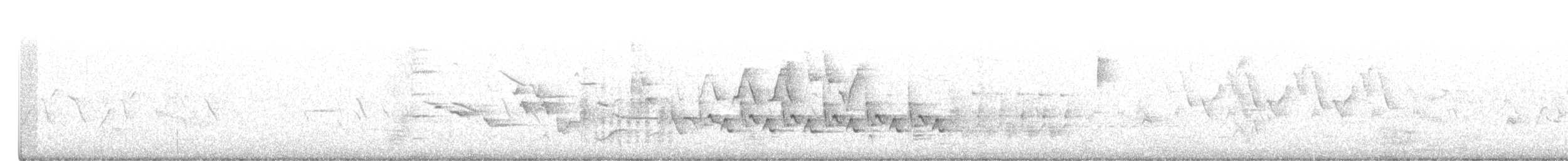 Carolinazaunkönig - ML332617701