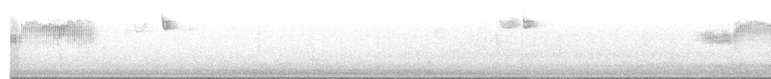 Голубокрылая червеедка - ML332685521