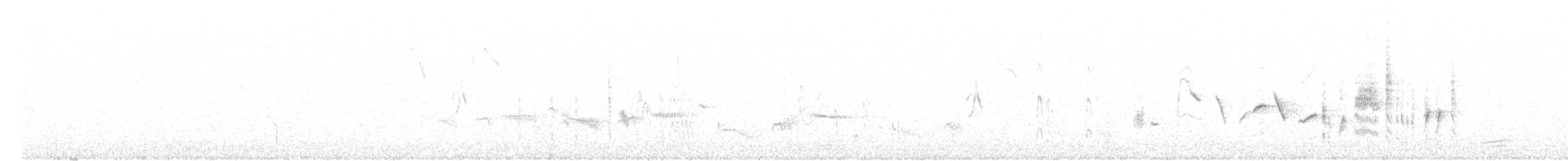 pěnice pokřovní (ssp. althaea) - ML332832881
